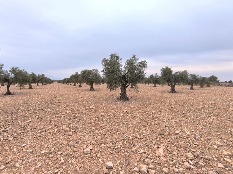 Terrain dans Yecla, Murcia à vendre - Photo principale – Image 2 sur 7