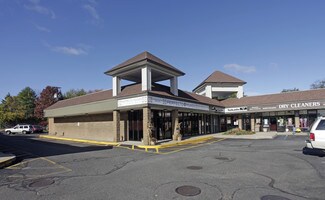 Plus de détails pour 1139-1141 Jericho Tpke, Commack, NY - Local commercial à louer