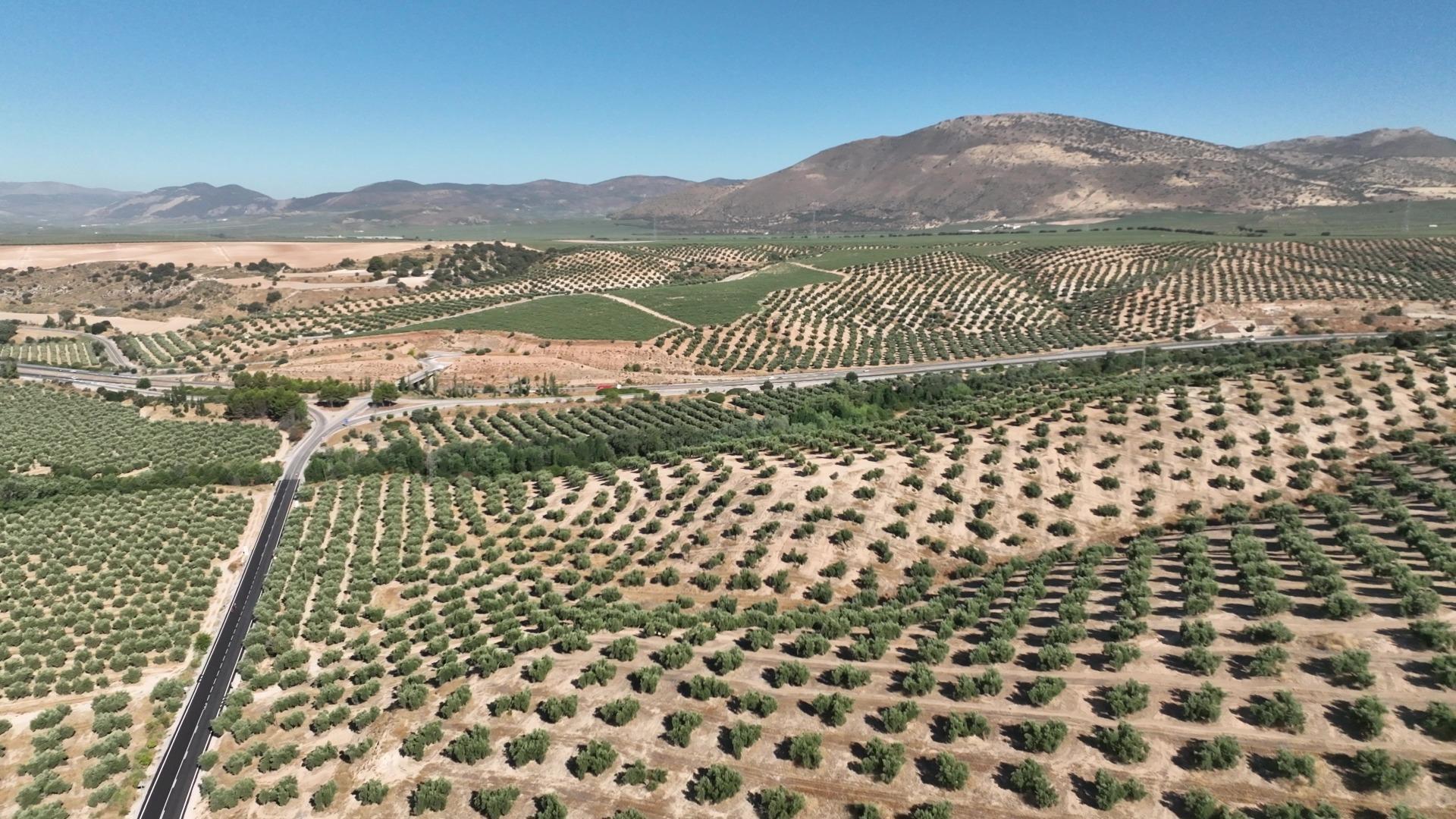 Terrain dans Granada, Granada à vendre Aérien– Image 1 sur 26
