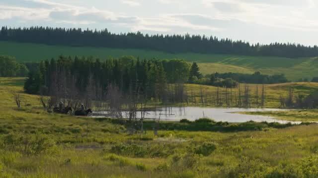 Scott Lake Ranch, Rocky View No 44, AB à vendre - Vidéo sur l’annonce professionnelle – Image 2 sur 18