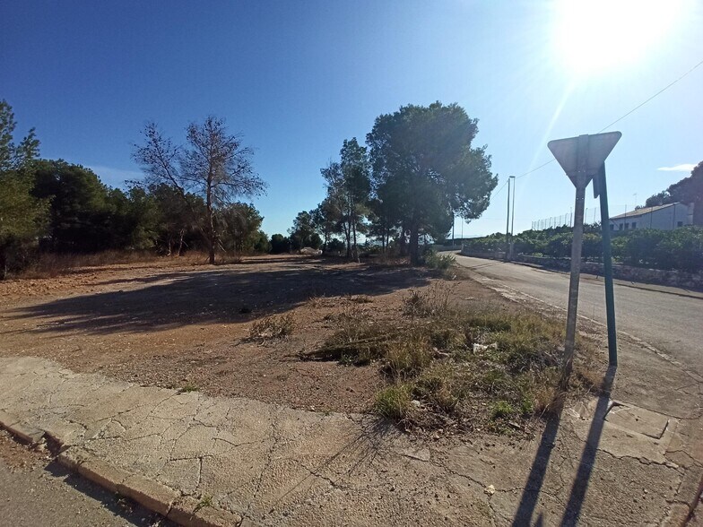 Terrain dans Alberic, Valencia à vendre - Photo principale – Image 2 sur 6
