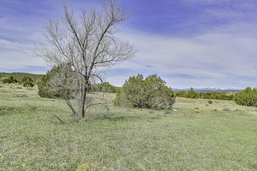 TBD County Road 69.1, Trinidad, CO à vendre - Autre – Image 3 sur 82