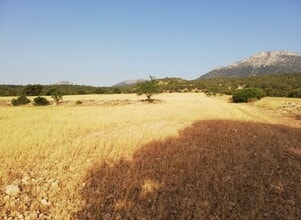 Aguica, 80, Lorca, MUR - Vue aérienne vue de carte