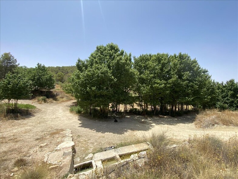 Camino del Peralejo, Sn, Jumilla, Murcia à vendre - Photo de l’immeuble – Image 3 sur 17