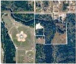Plus de détails pour 8810 John Pitts Rd, Panama City, FL - Terrain à vendre