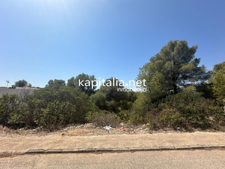 Terrain dans Alberic, Valencia à vendre - Photo principale – Image 3 sur 5