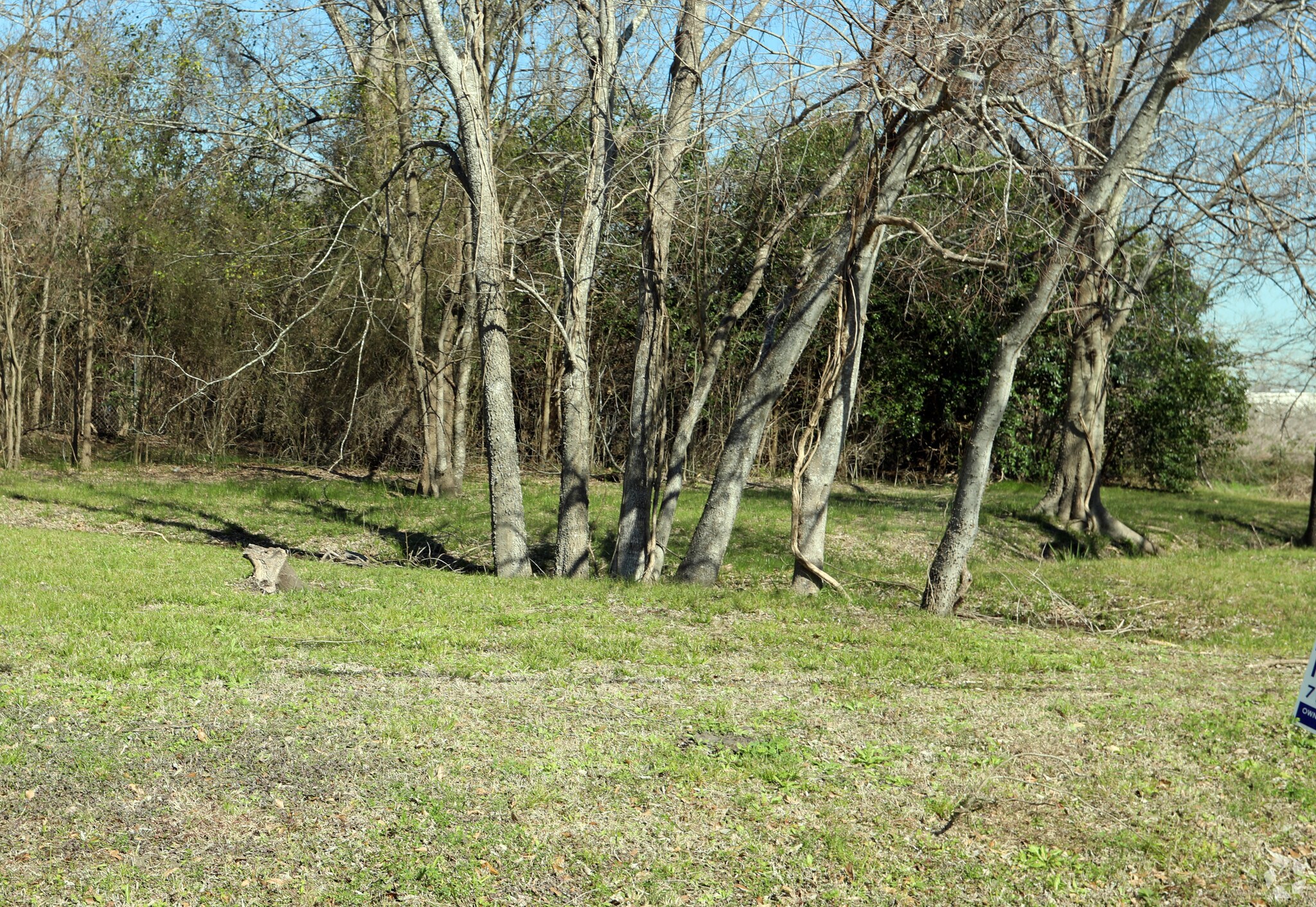 202 Leago Rd, Houston, TX à vendre Photo principale– Image 1 sur 4