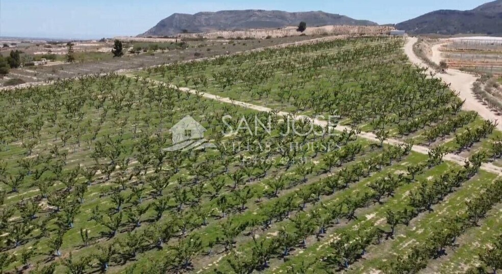 Terrain dans Monforte del Cid, Alicante à vendre - Aérien – Image 3 sur 10