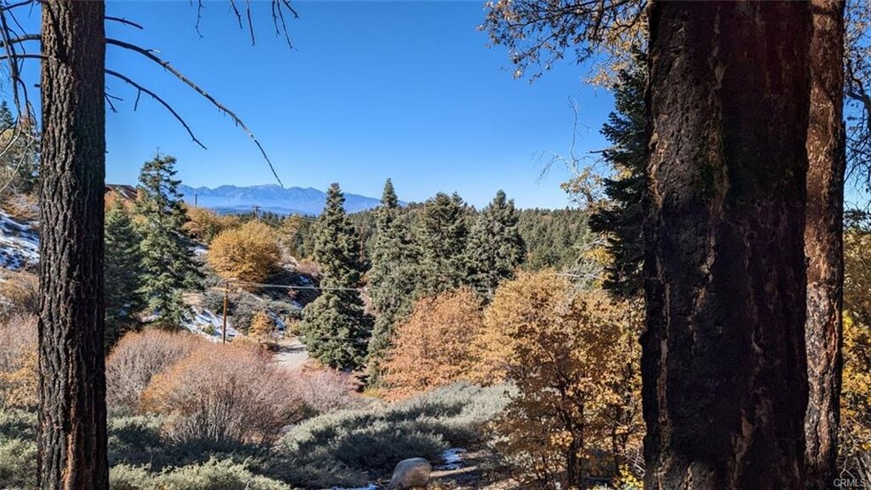 0 San Antonio, Green Valley Lake, CA à vendre - Photo de l’immeuble – Image 3 sur 20