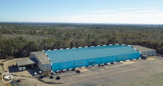 Plus de détails pour 252 Jacintoport Blvd, Saraland, AL - Industriel/Logistique à louer