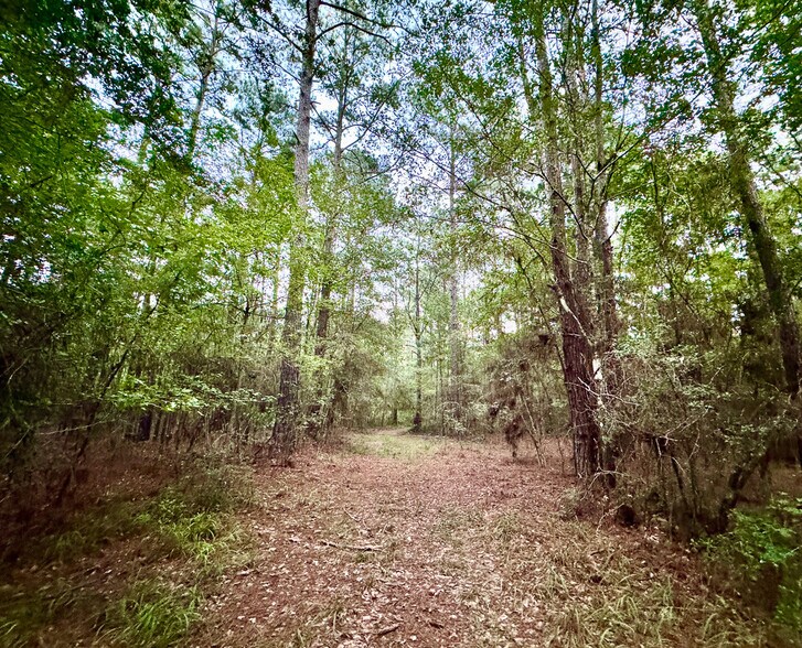 4955 FM 1374 Rd, Huntsville, TX à vendre - Photo de l’immeuble – Image 2 sur 23