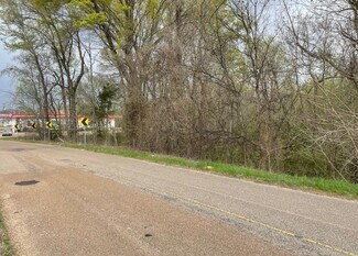 Plus de détails pour 0000 Riley Rd, Vicksburg, MS - Terrain à vendre