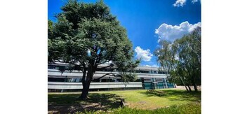 Plus de détails pour Bureau, Local d'activités à louer