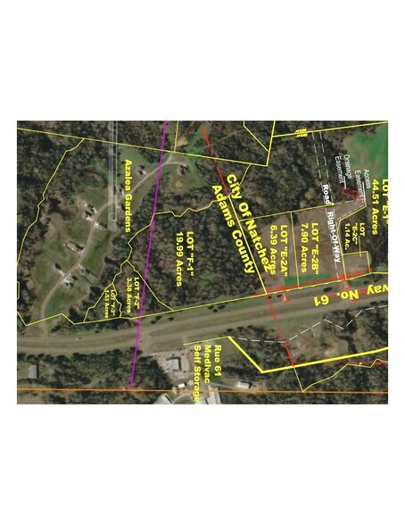 000E-2B Highway 61, Natchez, MS à vendre - Photo de l’immeuble – Image 2 sur 4