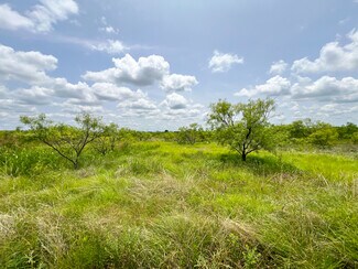Plus de détails pour 912 O D ln, Coleman, TX - Terrain à vendre