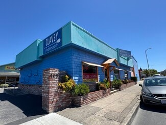 Plus de détails pour 409 S Petaluma Blvd, Petaluma, CA - Local commercial à vendre
