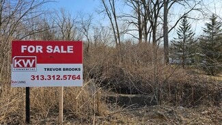 Plus de détails pour 46319 Ecorse Rd, Belleville, MI - Terrain à vendre