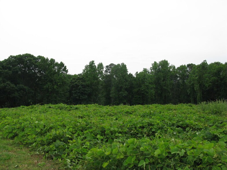 0 Deerfield Dr Dr, Wellford, SC à vendre - Photo de l’immeuble – Image 2 sur 9
