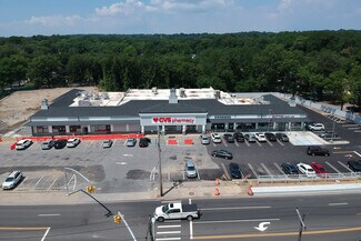 Plus de détails pour 393 Willis Ave, Roslyn Heights, NY - Local commercial à louer