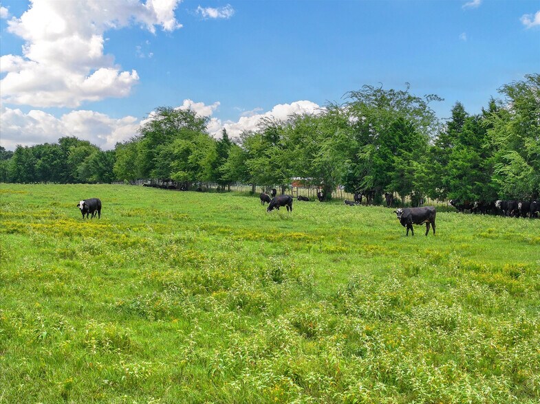 Tract 10 County Road 3415, Jacksonville, TX à vendre - Photo de l’immeuble – Image 3 sur 14