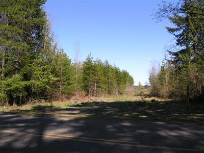 8838 Blomberg St, Tumwater, WA à vendre - Photo de l’immeuble – Image 2 sur 7