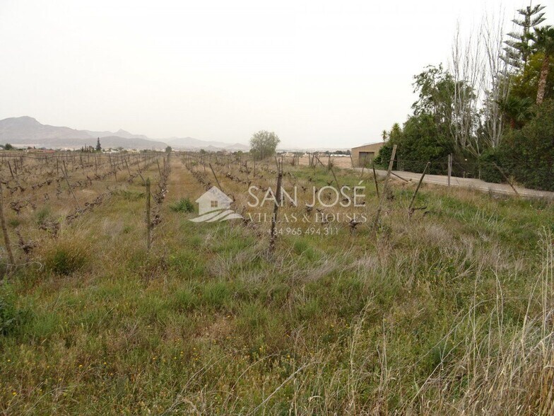 Terrain dans Novelda, Alicante à vendre - Photo principale – Image 3 sur 8