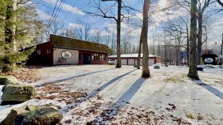 Plus de détails pour 424 PA-390, Tafton, PA - Local d’activités à vendre