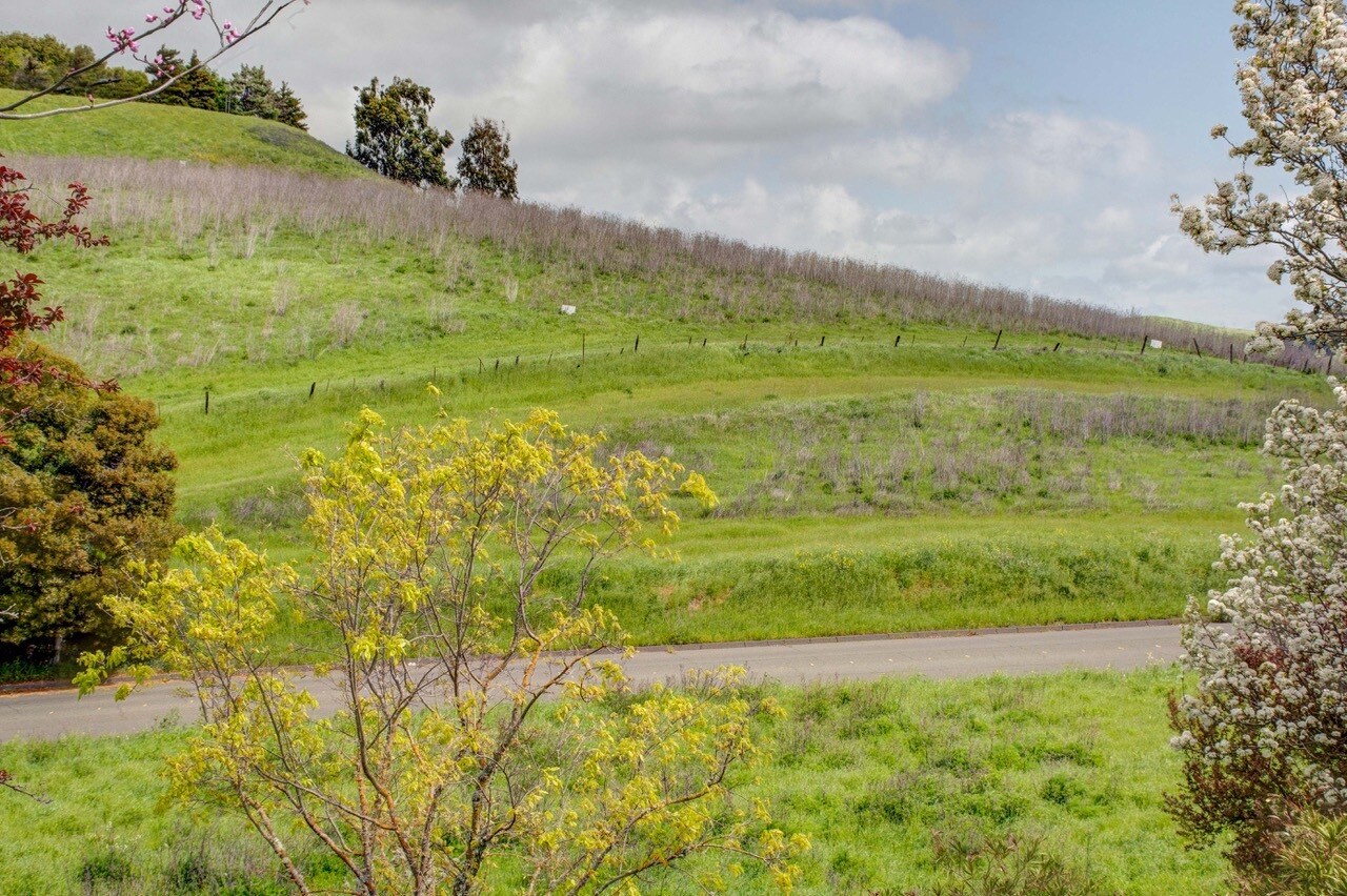 Eucalypus Dr X Teresa St., American Canyon, CA à vendre Photo principale– Image 1 sur 9