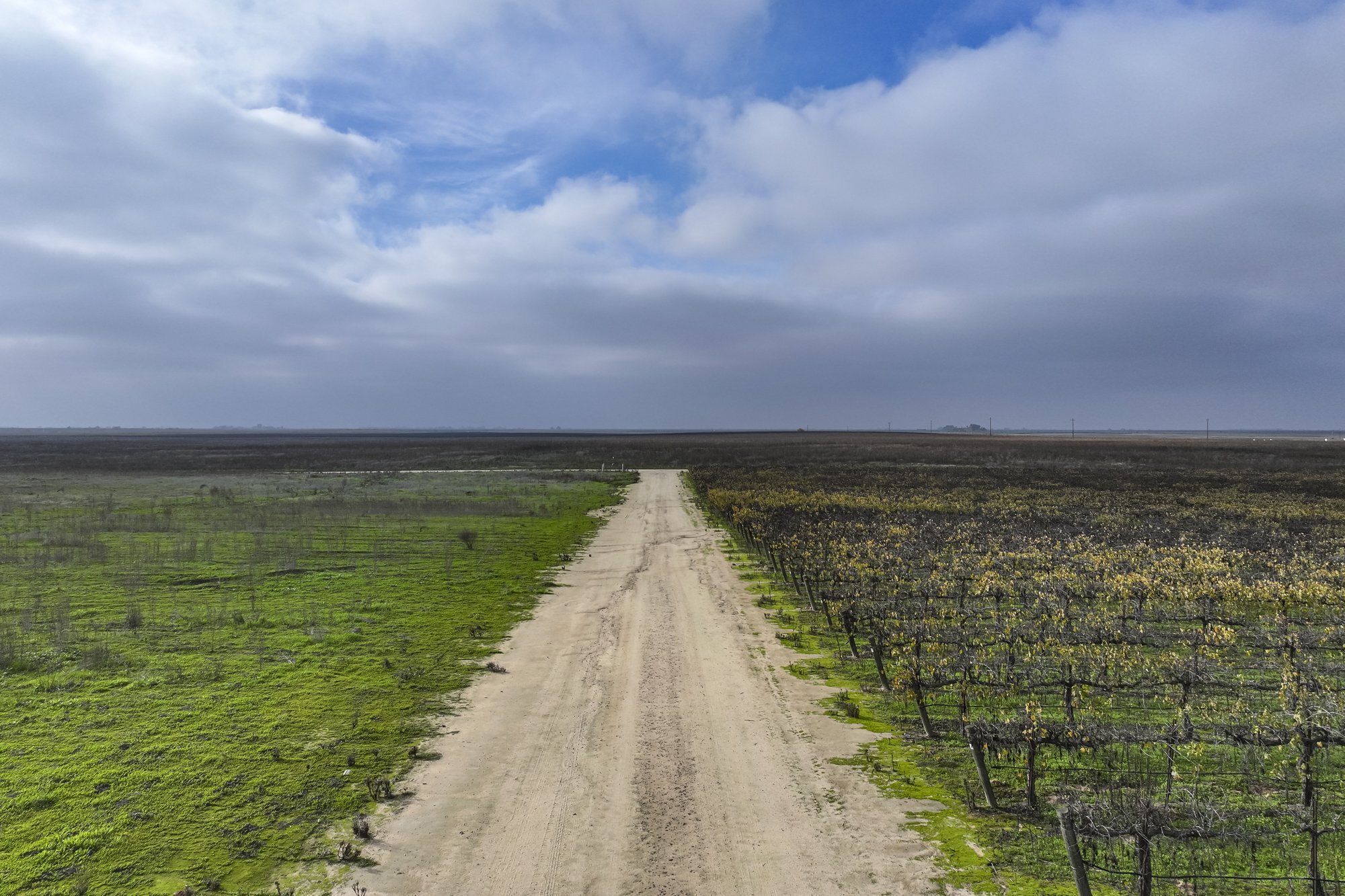 Avenue 23, Madera, CA à vendre Photo principale– Image 1 sur 25