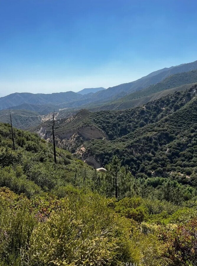 View Photo