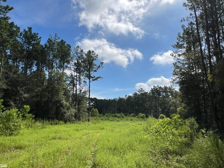 18288 FM 1774, Plantersville, TX à vendre - Aérien – Image 2 sur 20