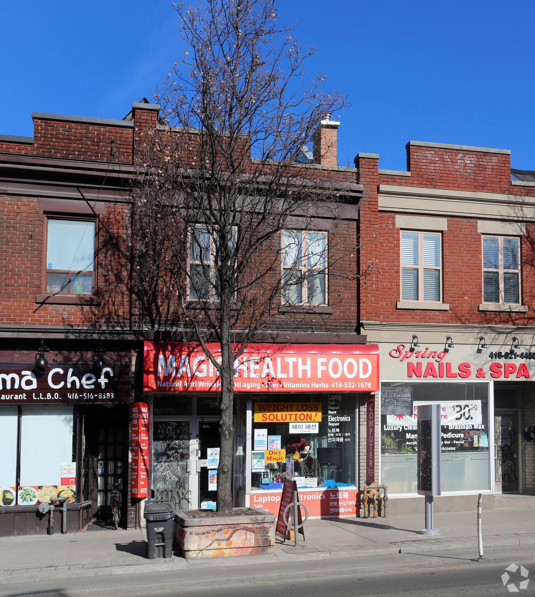 646 Bloor St W, Toronto, ON à louer Photo principale– Image 1 sur 3