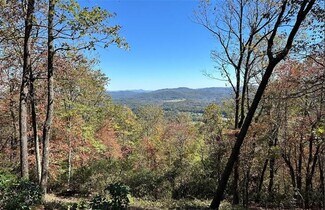 Plus de détails pour TBD Alpen Rose Way, Mills River, NC - Terrain à vendre