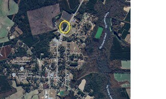 Plus de détails pour 0 State Highway 51, Pamplico, SC - Terrain à vendre