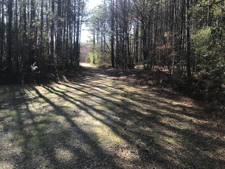 0 Donahoo Rd, Silver Creek, GA à vendre - Autre – Image 3 sur 9