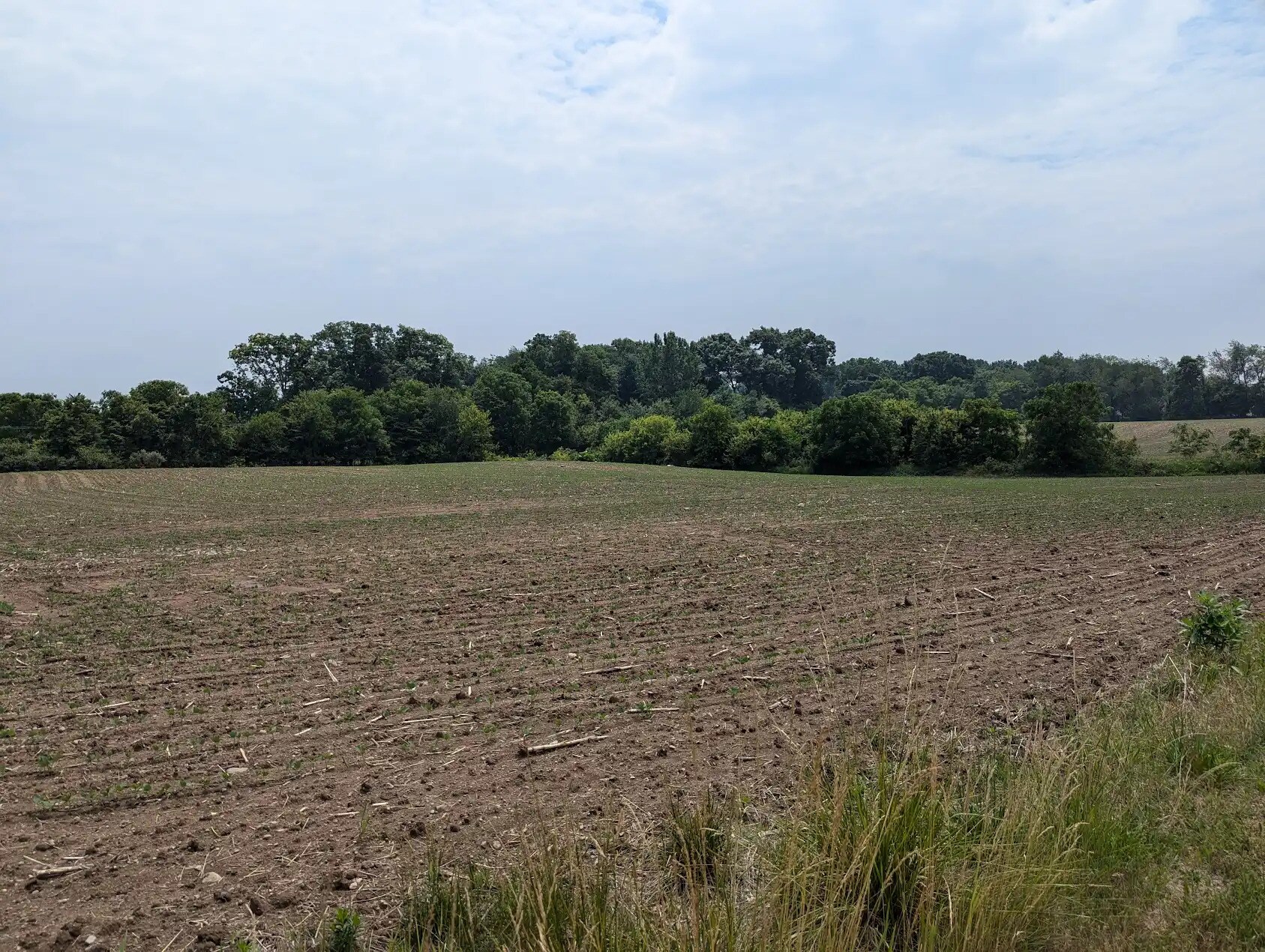 7998 E Grand River Ave, Portland, MI à vendre Photo principale– Image 1 sur 16