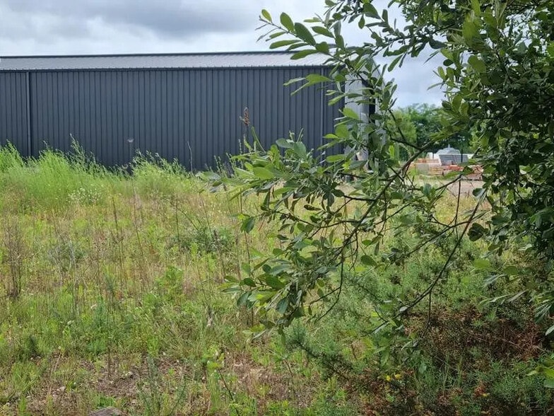 Terrain dans Sanguinet à vendre - Photo de l’immeuble – Image 3 sur 4