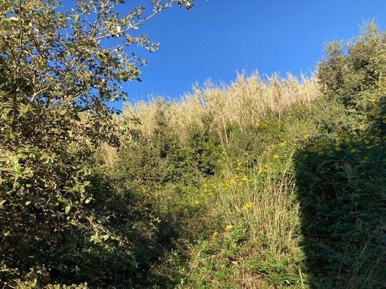 Terrain dans Pineda de Mar, Barcelona à vendre - Photo de l’immeuble – Image 2 sur 3