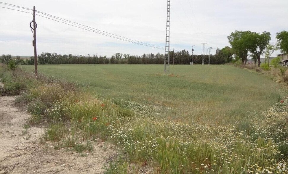 Terrain dans Estremera, Madrid à vendre - Photo principale – Image 1 sur 1