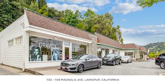 Plus de détails pour 1133-1139 Magnolia Ave, Larkspur, CA - Local commercial à vendre