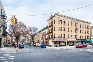 Plus de détails pour 243 Troy Ave, Brooklyn, NY - Logement à vendre