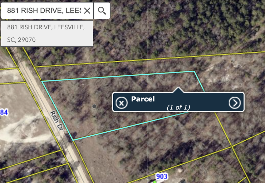 881 Rish dr, Leesville, SC à vendre - Photo principale – Image 1 sur 1