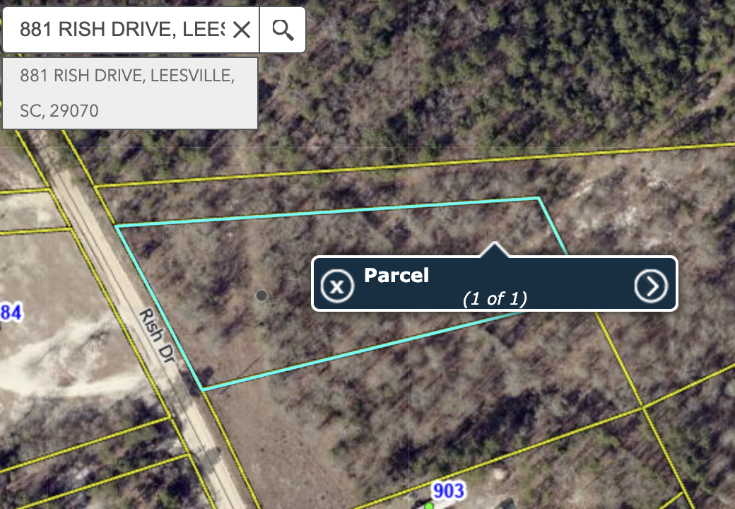 881 Rish dr, Leesville, SC à vendre Photo principale– Image 1 sur 2