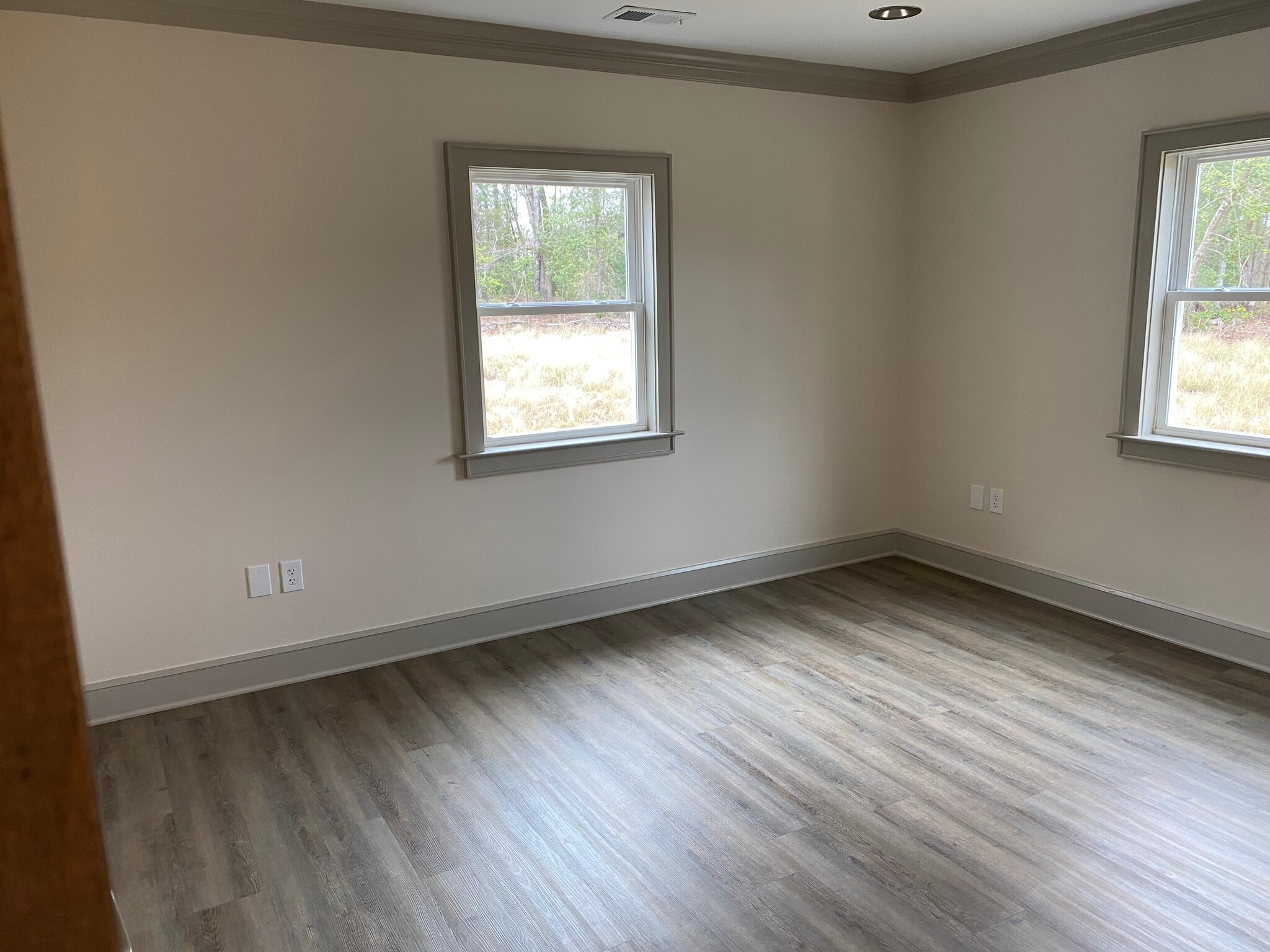126 Snapdragon Ct, Chapin, SC à vendre Photo intérieure– Image 1 sur 3