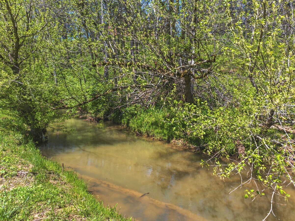 View Photo
