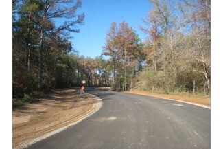Plus de détails pour State Highway 249, Pinehurst, TX - Terrain à louer