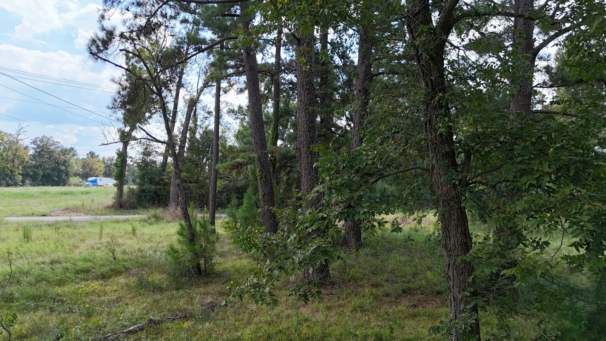 4769 US-59, Livingston, TX à vendre Photo principale– Image 1 sur 11