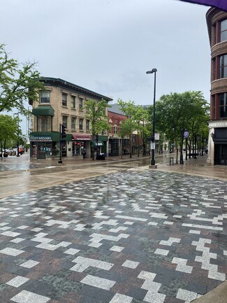 Plus de détails pour 105 1/2 State St, Madison, WI - Logement à vendre