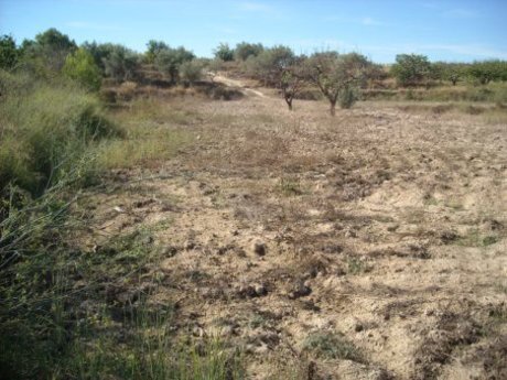 Terrain dans Calasparra, Murcia à vendre - Plan de site – Image 3 sur 11