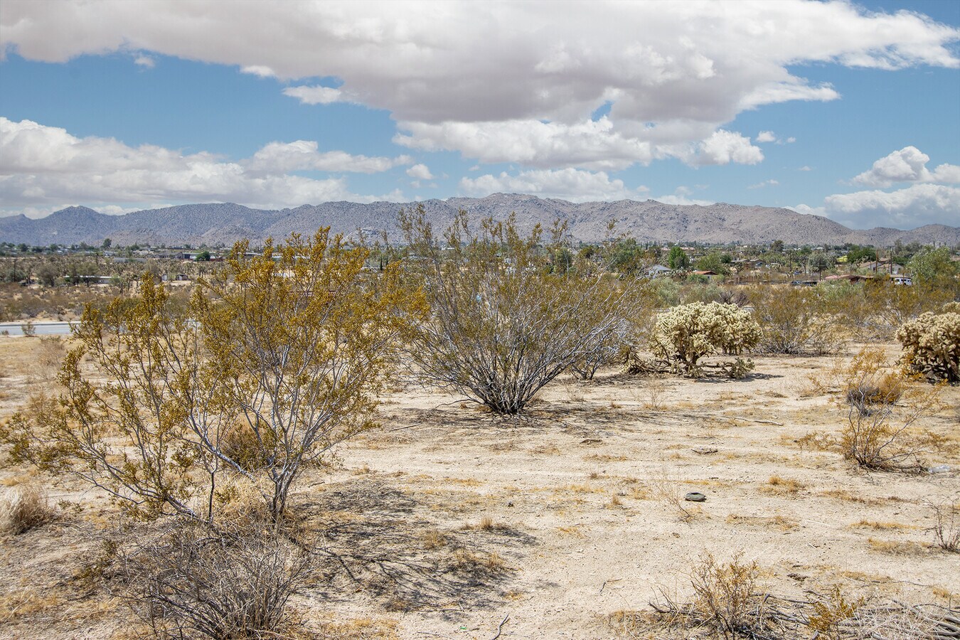 View Photo